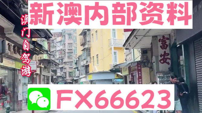 新澳精準(zhǔn)資料免費(fèi)提供4949期+XR50.791_解答解釋落實(shí)