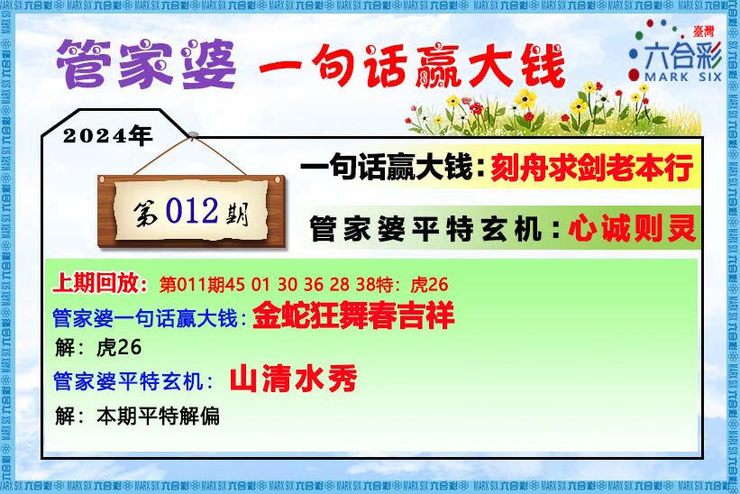 管家婆一肖一碼最準資料+S45.785_精準解釋落實