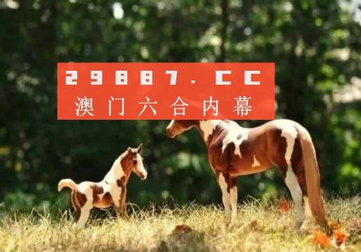 澳門(mén)精準(zhǔn)正版四不像+MT16.819_反饋實(shí)施和計(jì)劃