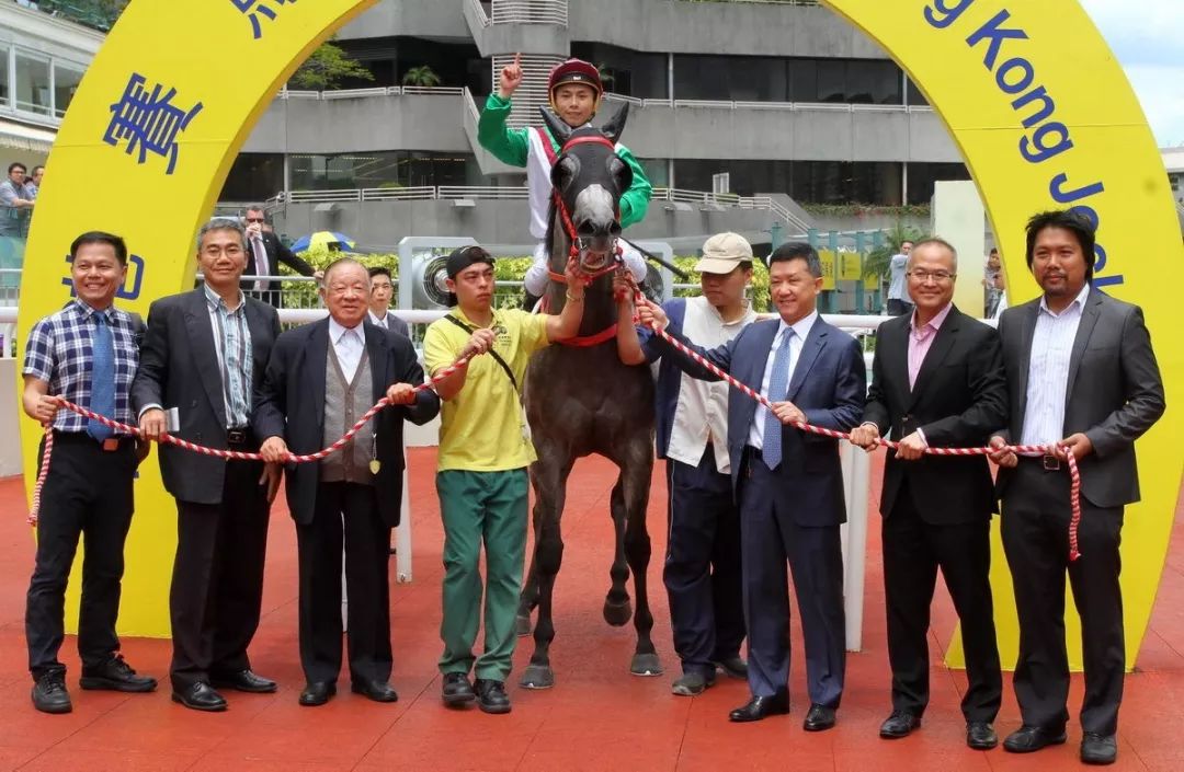 香港馬資料更新最快的+策略版28.760_方案實(shí)施和反饋