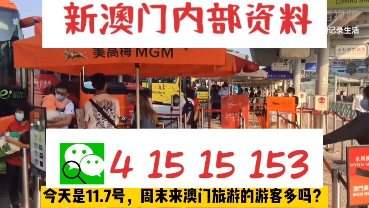 新澳門資料大全正版資料2025年免費下載,家野中特+基礎(chǔ)版56.202_詞語解釋